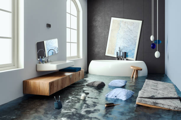 Best Mold removal after water damage  in Parkville, MD
