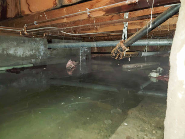 Best Water damage restoration near me  in Parkville, MD