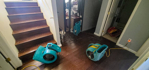 Best Water damage cleanup near me  in Parkville, MD