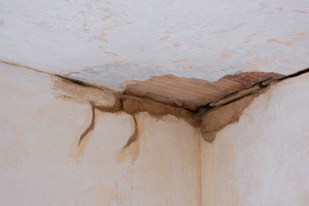 Best 24-hour water damage restoration  in Parkville, MD