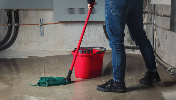Best Flood restoration services  in Parkville, MD