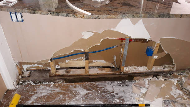 Best Flooded house restoration  in Parkville, MD