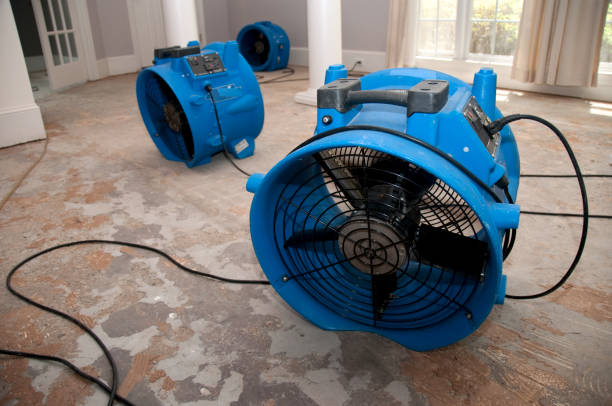 Best Sewage cleanup and water damage restoration  in Parkville, MD