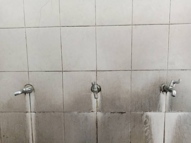 Best Local water damage restoration  in Parkville, MD