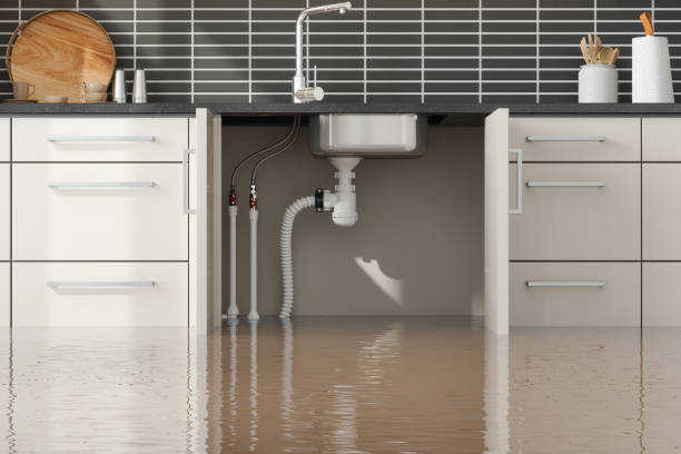 Best Professional water damage repair  in Parkville, MD